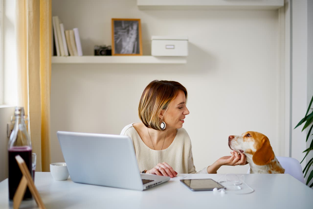 Agência de Viagens Home Office: saiba porque divulgar seus produtos 2x mais!